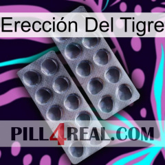 Erección Del Tigre 31